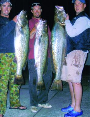 Greg, Andrew and Juy with their sensational trifecta of Clyde River jewfish that weighed 10.7kg, 9.1kg and 18.5kg.